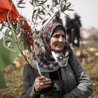 Dan zemlje - Palestina